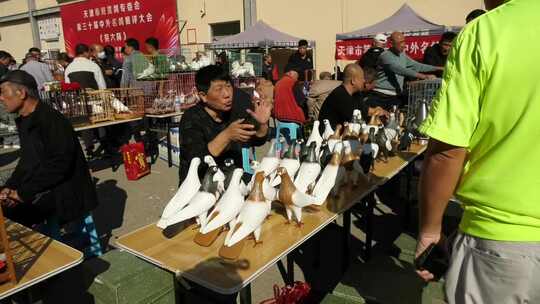 古玩市场  步行街 鸽子 花鸟市场 人流