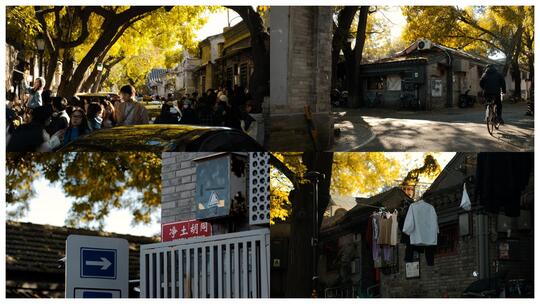 (4k实拍）北京秋天胡同 人文生活高清在线视频素材下载