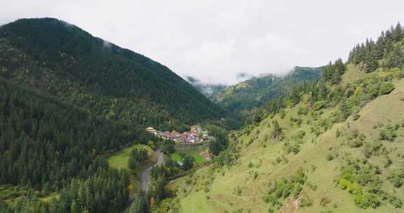 阿坝州松潘县牟尼沟高山森林