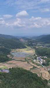 竖屏航拍南方农田稻田山川丘陵