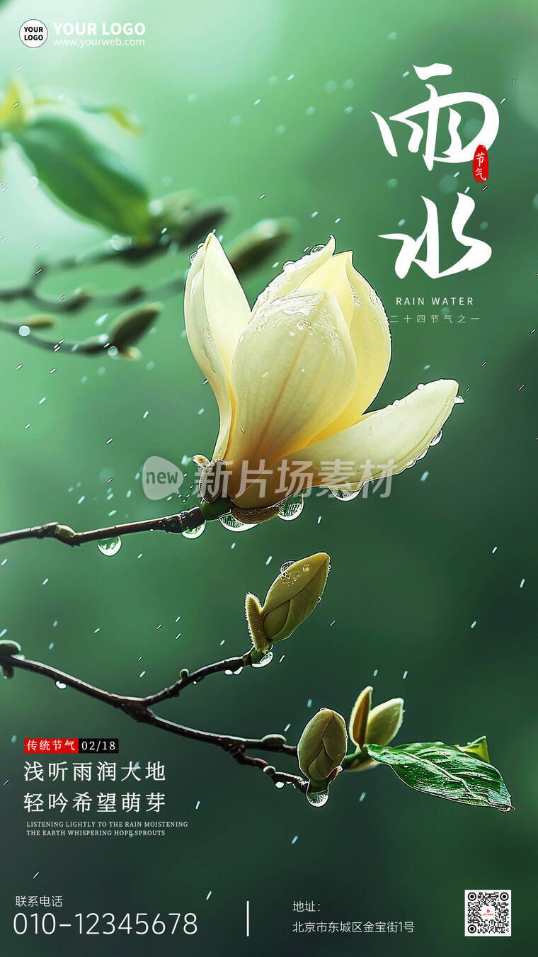 雨水二十四节气创意简约海报