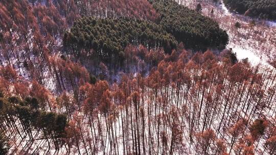 冬季山林雪景鸟瞰全景