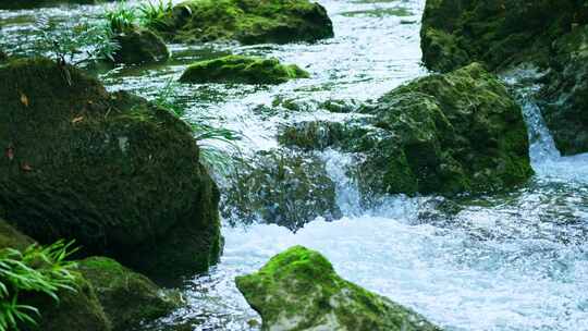 大自然溪水青苔水流清澈流水山泉水