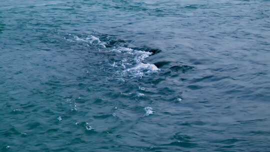 岸边起伏波浪流水画面