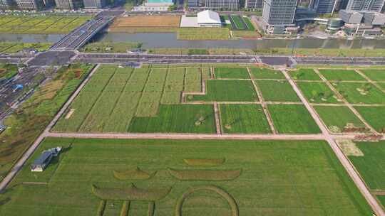 杭州亚运村城市建筑风景航拍