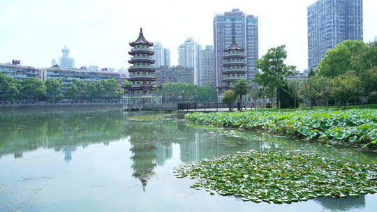 武汉汉口宝岛公园风景