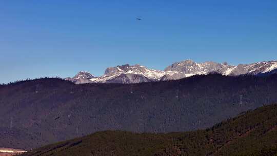 航拍雪山森林和飞翔在蓝天的雄鹰