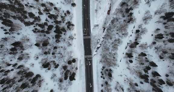 空中俯瞰积雪森林间的道路