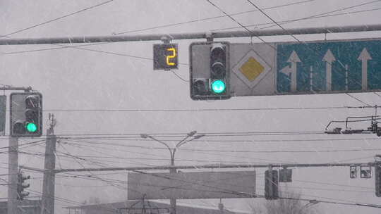 城市路口和暴雪娱乐