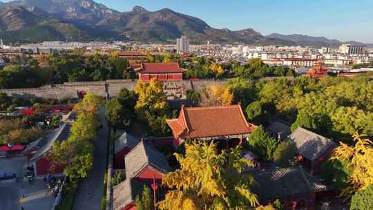 深秋泰安，岱庙色彩斑驳