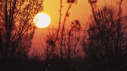 夕阳日落视频素材模板下载