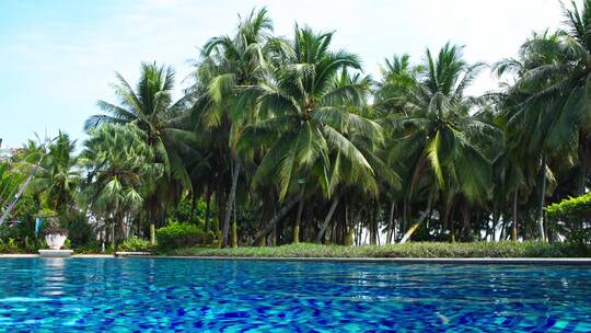 海南热带风景游泳池边椰树茂密