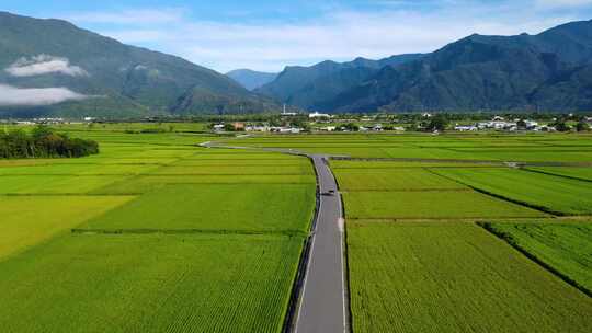 美丽乡村农业壮丽山河俯拍春色郊外麦田