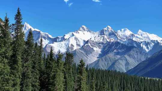 新疆昭苏夏塔雪山