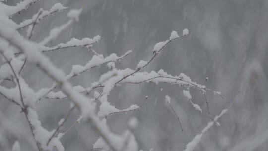 冬天雪景 雪景意境