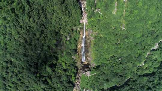 宜春明月山云山瀑布视频素材模板下载