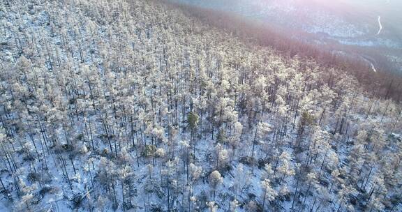 航拍大兴安岭高寒地区的林海雪原