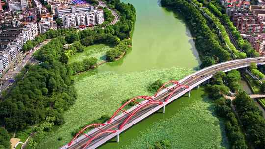 深圳罗湖区洪湖公园水贝片区城市航拍宣传片