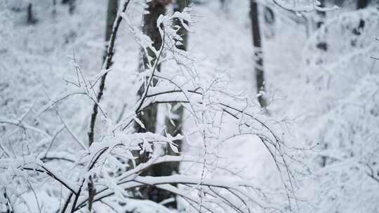 伏牛山冬季雪景雾凇