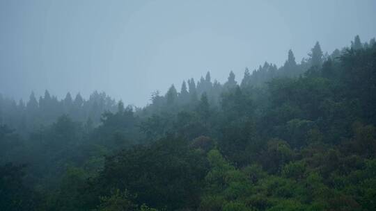 秋雨兮兮山雾朦朦