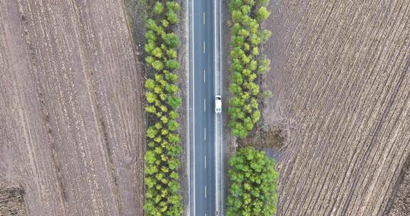 内蒙公路白桦林俯拍