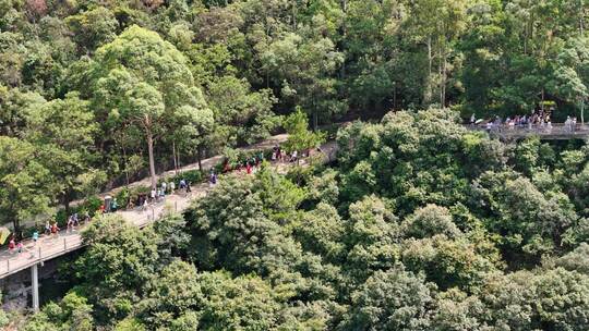 广东观音山国家森林公园第十二届登山大赛