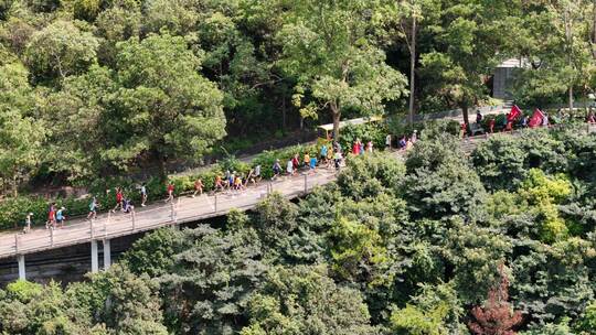 广东观音山国家森林公园第十二届登山大赛