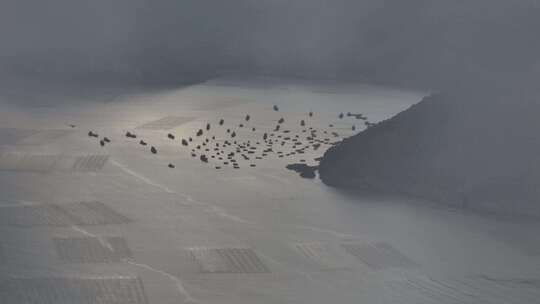 霞浦海田航拍