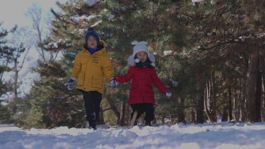 快乐儿童在雪地里玩耍视频素材模板下载