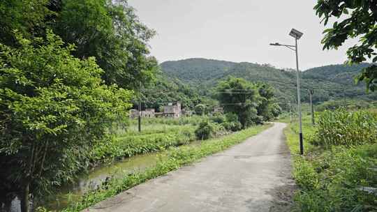 【正版素材】农村小路乡道乡村