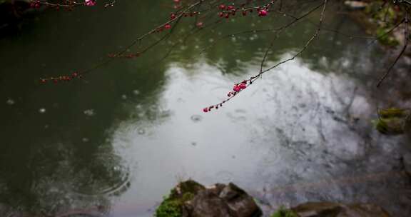 杭州西湖冬季雨天雨滴升格空镜