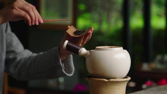 茶艺师往茶壶里放茶叶茶艺冲泡煮茶