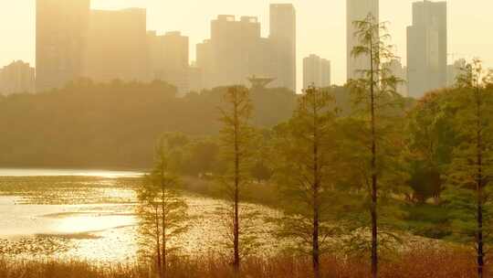 4k长沙梅溪湖公园秋景