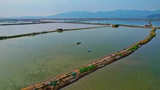 霞浦 鱼虾养殖业 水产养殖业视频素材模板下载