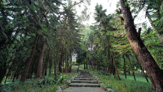 爬山登山古道山间小路