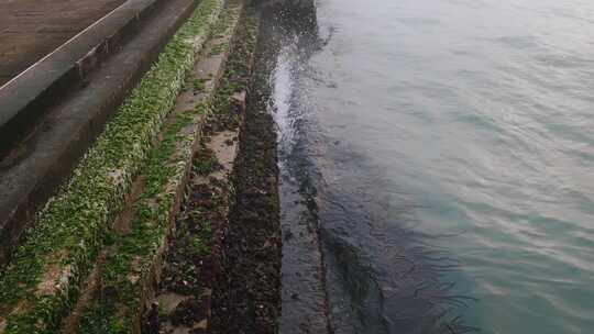 水边威尼斯运河上海藻覆盖的台阶视频素材模板下载