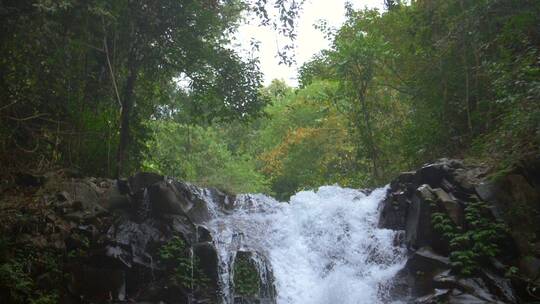 森林里的瀑布向下平移拍摄镜头