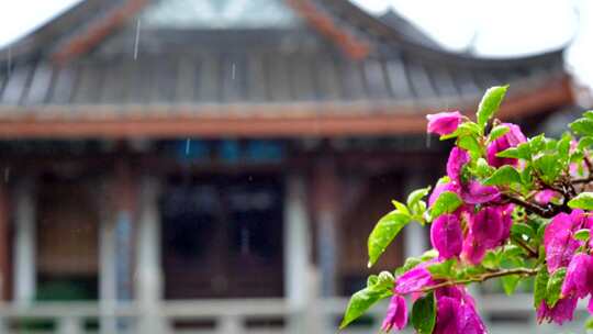 惠州西湖丰渚园雨天6