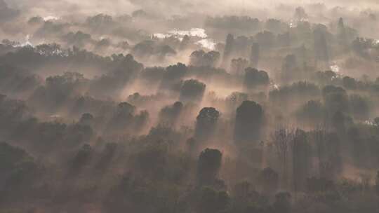 中国杭州西溪湿地云雾缭绕耶稣光水墨画