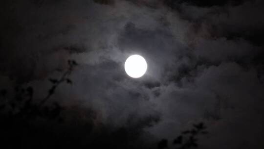 洁白的月亮【4k素材】