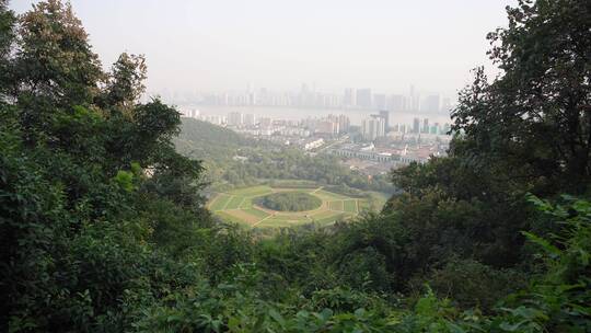 杭州玉皇山景区紫来洞