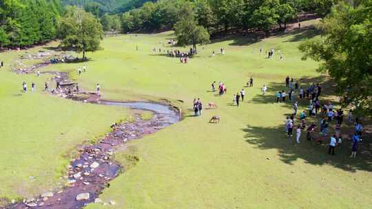 黑龙江伊春飞鹤金山鹿苑风景航拍