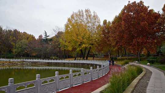 河北省石家庄市裕西公园秋色