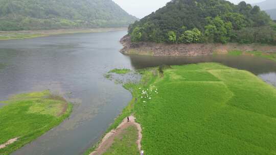 宁波奉化湖景航拍