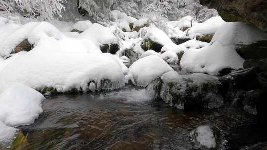 冰雪融化 春回大地万物复苏