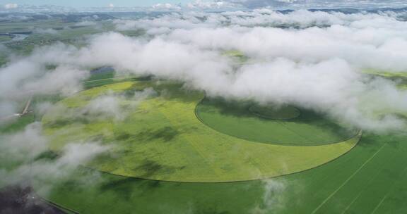 航拍八卦太极图、油菜花