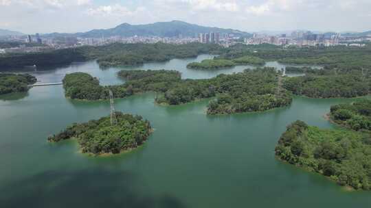 深圳龙华茜坑水库