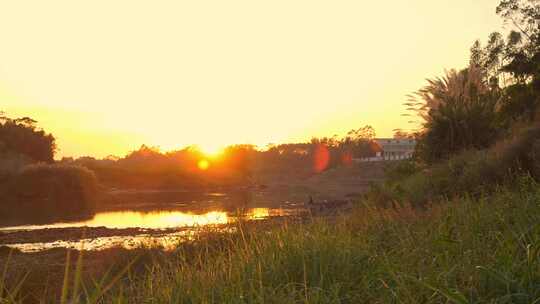 夕阳下的河边草地自然风景