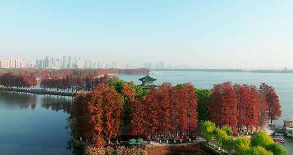 湖北武汉东湖风景区秋季风光