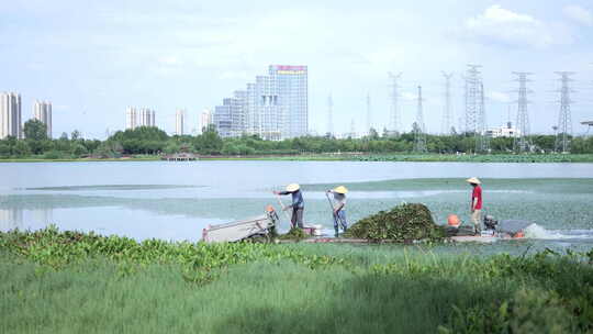 武汉洪山区杨春湖公园